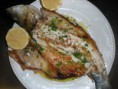 /album/pescados/dscn1696-jpg1/